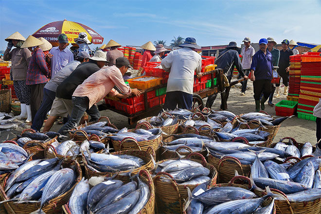 TOP 10 chợ hải sản ở Đà Nẵng cực chất cho bạn tham khảo