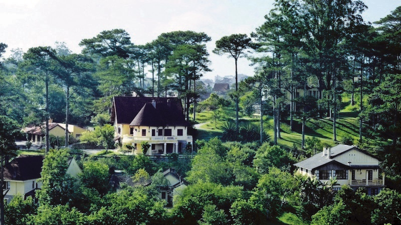 Top 5 khu nghỉ dưỡng giữa rừng ở Đà Lạt bạn nên check-in ngay